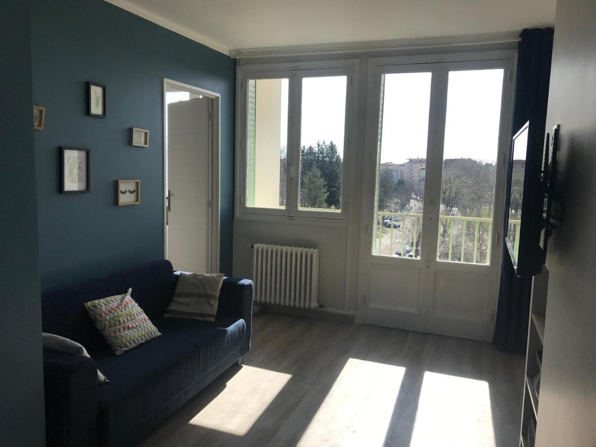 Bel Appartement Renove, Spacieux Et Lumineux Bourg-en-Bresse Eksteriør billede