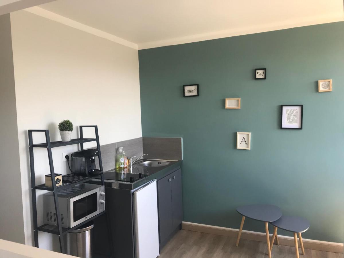 Bel Appartement Renove, Spacieux Et Lumineux Bourg-en-Bresse Eksteriør billede